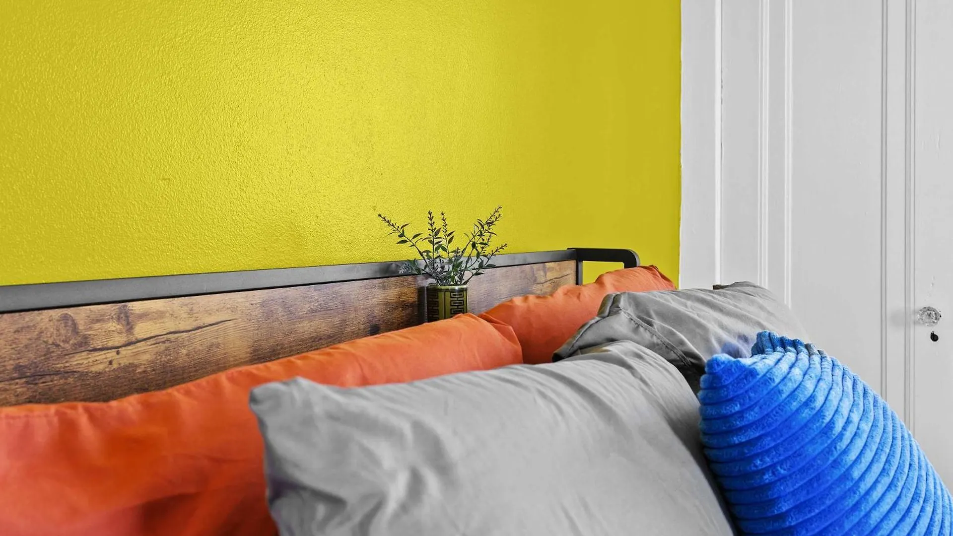 Cozy & Creative Top Unit In Lou'S Arts District Louisville 0*,  Stany Zjednoczone Ameryki